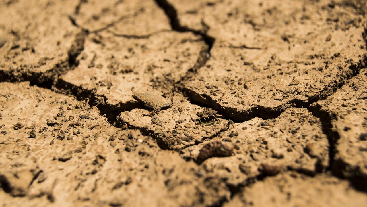 drought-780088_1280-2.jpg