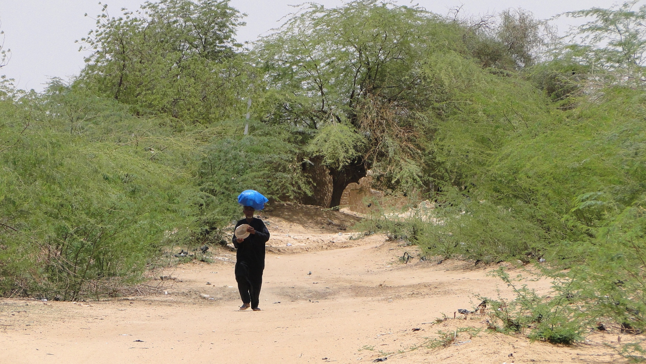 Sahel_Scene_-_Dori_-_Sahel_Region_-_Burkina_Faso-2.jpg